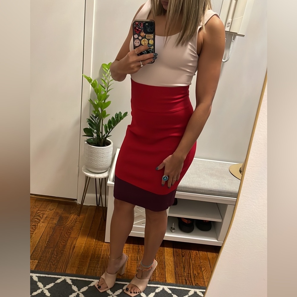 Express Red Pencil Skirt